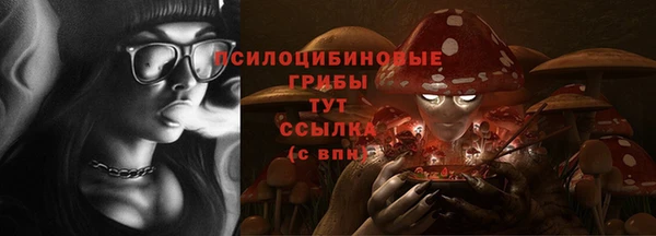 синтетический гашиш Гусиноозёрск